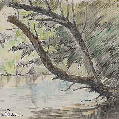 Arbre en bordure d'eau - Paulémile Pissarro (1884 - 1972)